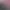 https://shared.akamai.steamstatic.com/store_item_assets/steam/apps/3355020/header.jpg?t=1739966420