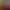 https://shared.akamai.steamstatic.com/store_item_assets/steam/apps/3356480/header.jpg?t=1741370394