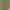 https://shared.akamai.steamstatic.com/store_item_assets/steam/apps/3357870/header.jpg?t=1733960088