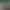 https://shared.akamai.steamstatic.com/store_item_assets/steam/apps/3358510/header.jpg?t=1735879945