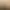 https://shared.akamai.steamstatic.com/store_item_assets/steam/apps/3362210/header_russian.jpg?t=1737057189