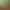 LIBRITOPIA: Librarian Simulator.