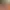 https://shared.akamai.steamstatic.com/store_item_assets/steam/apps/3375690/header.jpg?t=1734975661