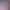 https://shared.akamai.steamstatic.com/store_item_assets/steam/apps/3376570/header.jpg?t=1746189133