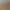 https://shared.akamai.steamstatic.com/store_item_assets/steam/apps/3380940/header.jpg?t=1745408486