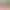 https://shared.akamai.steamstatic.com/store_item_assets/steam/apps/3382900/header.jpg?t=1749853148