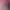 https://shared.akamai.steamstatic.com/store_item_assets/steam/apps/3385670/90f1bf9d70091002f41bca4c47deae2fb3bf045a/header.jpg?t=1746607469