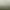 Arma 2.