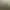 Arma 2: Operation Arrowhead.