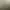 Arma 2: Operation Arrowhead.