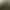 Arma 2: Operation Arrowhead.