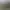 Arma 2: Operation Arrowhead.