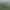 Arma 2: Operation Arrowhead.