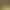 Empires of the Undergrowth - Exploding Ants.