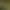 Empires of the Undergrowth - Exploding Ants.