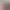 https://shared.akamai.steamstatic.com/store_item_assets/steam/apps/3411080/header.jpg?t=1738771061