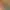 https://shared.akamai.steamstatic.com/store_item_assets/steam/apps/341170/header.jpg?t=1628613157