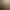 https://shared.akamai.steamstatic.com/store_item_assets/steam/apps/3413660/header.jpg?t=1739094845
