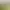 https://shared.akamai.steamstatic.com/store_item_assets/steam/apps/341500/header.jpg?t=1745463422