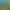 Crest - an indirect god sim.