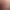 https://shared.akamai.steamstatic.com/store_item_assets/steam/apps/342180/header.jpg?t=1742289083