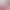 https://shared.akamai.steamstatic.com/store_item_assets/steam/apps/3422420/header.jpg?t=1737969666