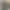 https://shared.akamai.steamstatic.com/store_item_assets/steam/apps/3426930/header.jpg?t=1742542332