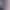 https://shared.akamai.steamstatic.com/store_item_assets/steam/apps/3427420/header.jpg?t=1743736951