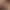 SEXXX GIRLS [18+].
