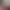 SEXXX GIRLS [18+].