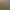 BDSM Oasis - interactive physics simulation.