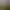 BDSM Oasis - interactive physics simulation.