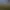 BDSM Oasis - interactive physics simulation.