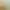 https://shared.akamai.steamstatic.com/store_item_assets/steam/apps/3432630/header.jpg?t=1741607842
