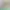 https://shared.akamai.steamstatic.com/store_item_assets/steam/apps/343300/header.jpg?t=1581629270