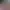 https://shared.akamai.steamstatic.com/store_item_assets/steam/apps/3434050/55f14d937ff386c980abb8f8d5fa86ec0562839e/header.jpg?t=1745828621