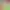 https://shared.akamai.steamstatic.com/store_item_assets/steam/apps/3436990/fdf9b15869354c0ab61ee29da69fbea633793c61/header.jpg?t=1742792065