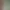 https://shared.akamai.steamstatic.com/store_item_assets/steam/apps/3447310/header.jpg?t=1741700494