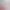 https://shared.akamai.steamstatic.com/store_item_assets/steam/apps/3452010/header.jpg?t=1738157052