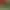 https://shared.akamai.steamstatic.com/store_item_assets/steam/apps/3452530/80eb47c1f07d897a380d707a1593f2db96351893/header.jpg?t=1750676355