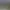 Medieval: Total War™ - Collection.
