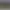 Medieval: Total War™ - Collection.