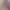 https://shared.akamai.steamstatic.com/store_item_assets/steam/apps/3465680/header_russian.jpg?t=1745483278