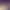 https://shared.akamai.steamstatic.com/store_item_assets/steam/apps/3477170/header.jpg?t=1744004881