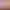 https://shared.akamai.steamstatic.com/store_item_assets/steam/apps/3478420/header.jpg?t=1740716376