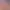https://shared.akamai.steamstatic.com/store_item_assets/steam/apps/3478440/header.jpg?t=1741329959