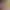 https://shared.akamai.steamstatic.com/store_item_assets/steam/apps/3488200/a32511547592b2cd2241b44ec5eb6d0f49458c81/header.jpg?t=1747261875