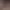 https://shared.akamai.steamstatic.com/store_item_assets/steam/apps/3489610/header.jpg?t=1741354833