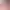 Yoshima: Hentai Simulator - Wallpaper Pack.