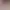 https://shared.akamai.steamstatic.com/store_item_assets/steam/apps/3491040/header.jpg?t=1741363032